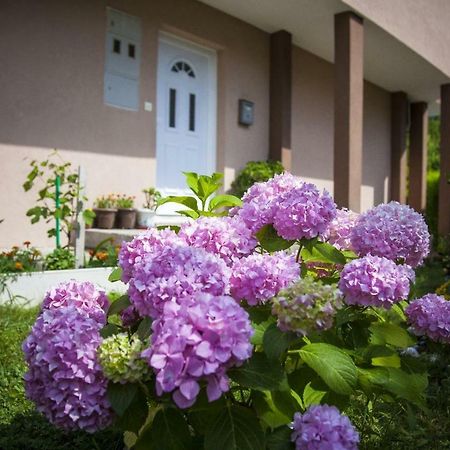 Apartament Kuca Bulajic Budva Zewnętrze zdjęcie
