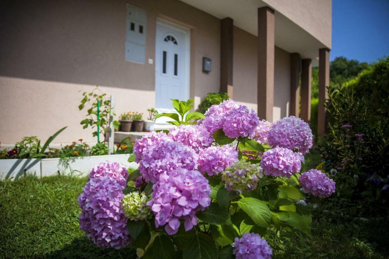 Apartament Kuca Bulajic Budva Zewnętrze zdjęcie